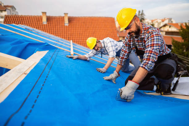 Best Storm Damage Roof Repair  in Harrington Park, NJ